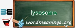 WordMeaning blackboard for lysosome